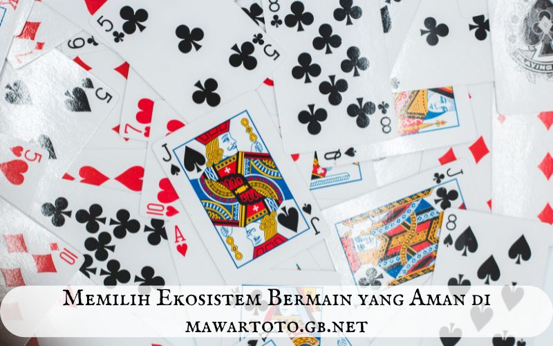 Memilih Ekosistem Bermain yang Aman di mawaredmisr.com
